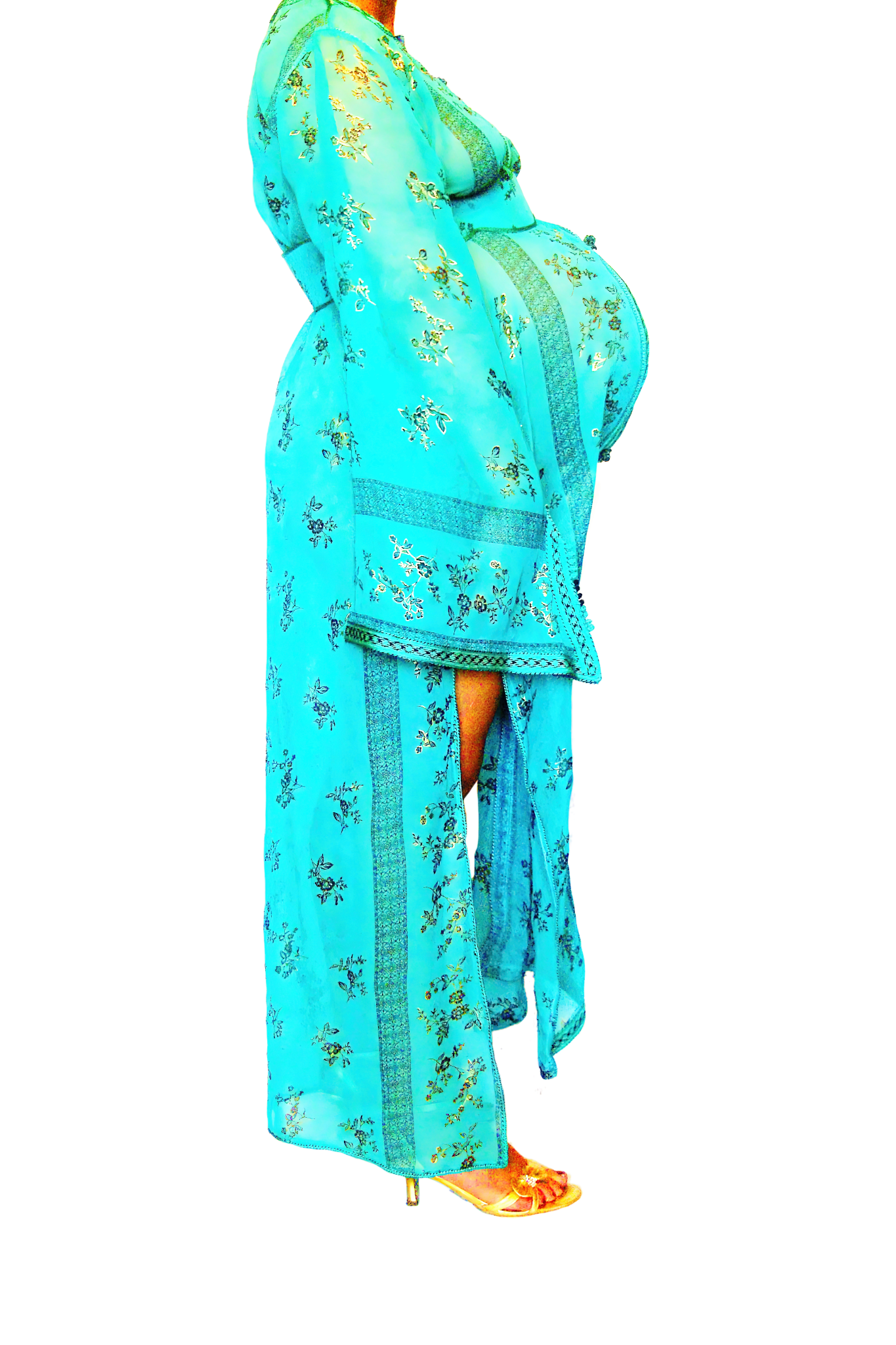 Le Corps Pansant - 2009